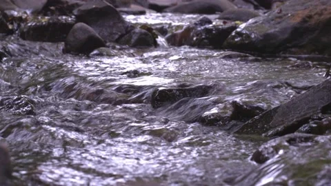 River Flow Stock Footage 158422712