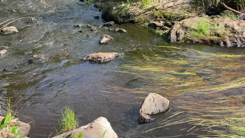 River flow Stock Footage 167409025