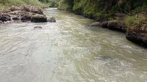 River flow 動画素材 172211043
