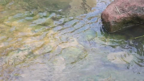River flow Stock Footage 205697910
