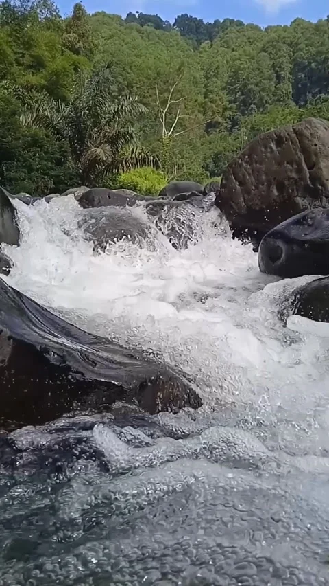 River Flow 動画素材 205943721