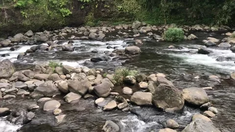 River flow Stock Footage 206214739