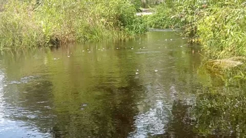 River flow Stock Footage 213532763