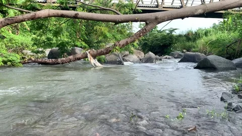 River flow Stock Footage 220777159