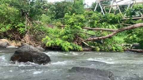 River flow Stock Footage 220777175