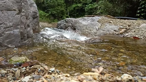 River Flow Stock Footage 237788920