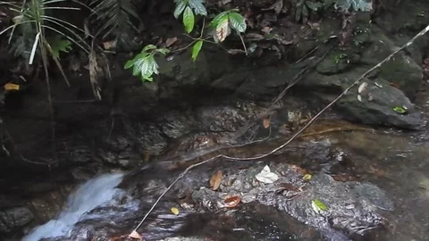 River flow Stock Footage 241504654