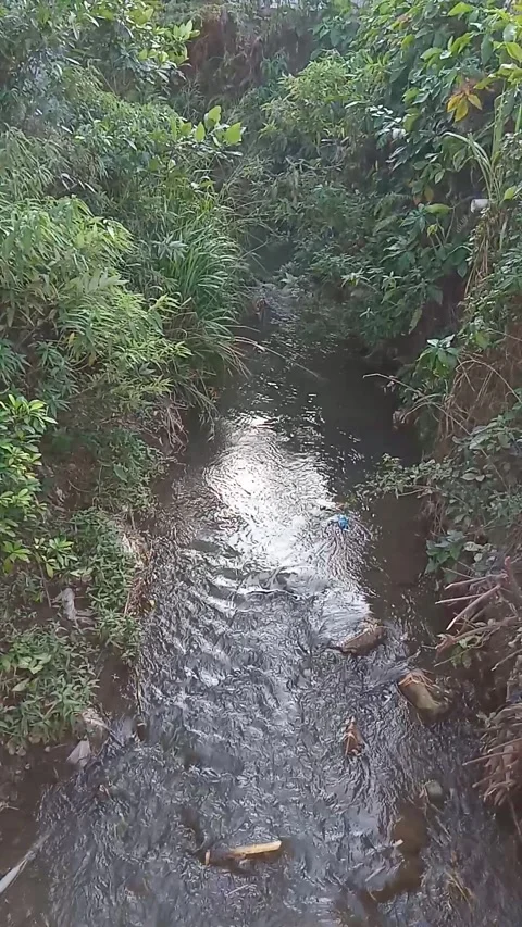 River flow Stock Footage 278973942
