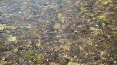 River Flow Video stock 323780315