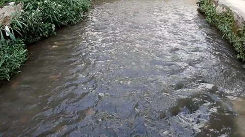 River flow Stock Footage 335825277