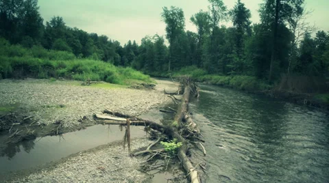River flow in the forest. Aerial shot. Clean Environment. Stock Footage 39807612