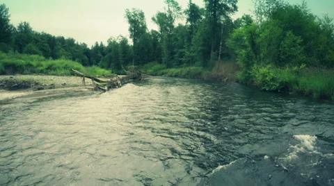 River flow in the forest. Aerial shot Stock Footage 39815468