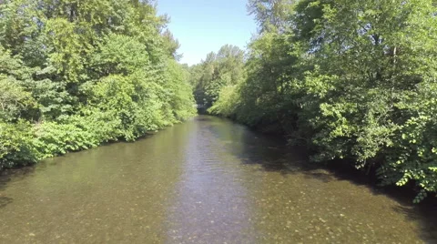 River flow in the forest. Aerial shot Stock Footage 40030455