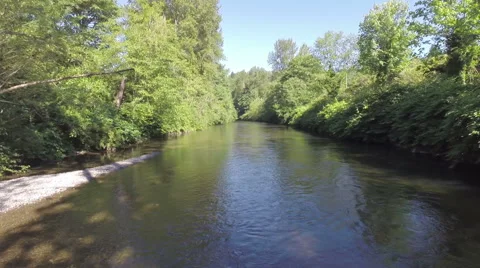 River flow in the forest. Aerial shot Stock Footage 40030851