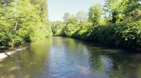 River flow in the forest. Aerial shot Video stock 40030894