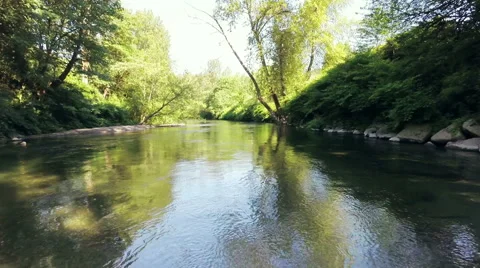 River flow in the forest. Aerial shot Video stock 40031096