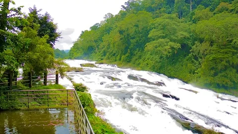 River Flow on the Forest area in India 스톡 동영상 92584931