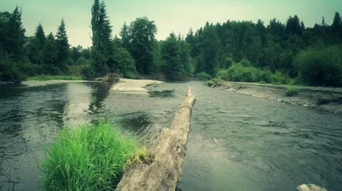 River flow in the forest. Clean water environment.  Aerial shot Stock Footage 39807923