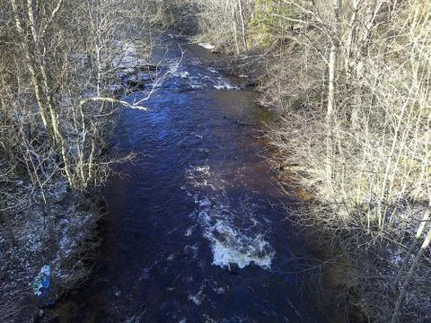 River flow in the forest in the daytime top view Stock Photos