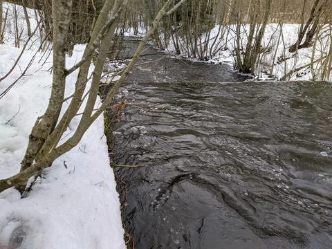 River flow in the forest in early spring Stock Photos