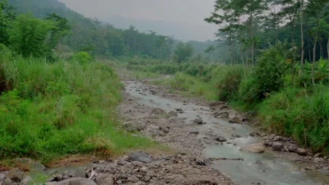 River flow in the forest Stock Footage 292616198