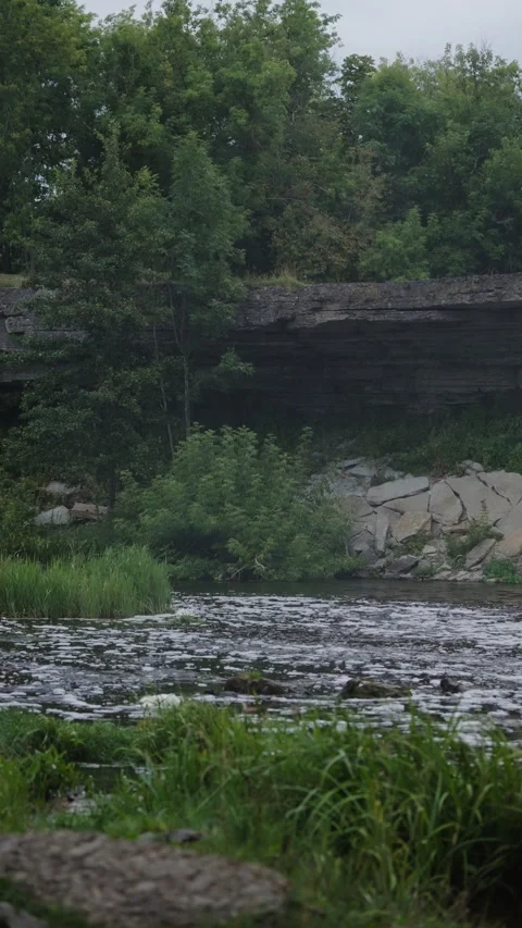 River Flow with a Grassy Island Stock Footage 344047339