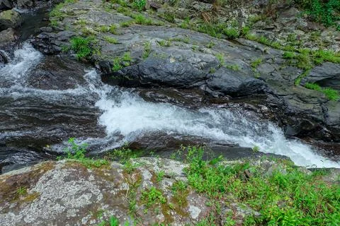 River flow inside the forest. Illustration of nature and environment. Stock Photos