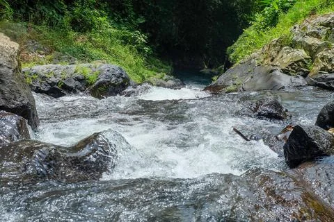 River flow inside the forest. Illustration of nature and environment. Stock Photos