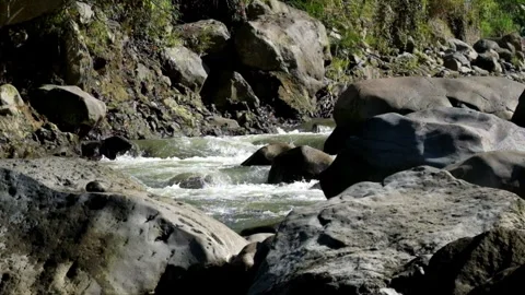 River flow with large rocks Stock Footage 287287440
