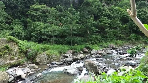 River flow with leaves moving in the wind in the background Stock-Footage 278962606