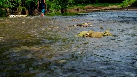 River Flow with Man Walking Video stock 323780297