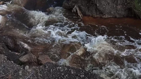 River flow in mangrove forest Video stock 195934489
