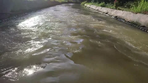 A river flow mixed with soil after rain Stock Footage 265244686