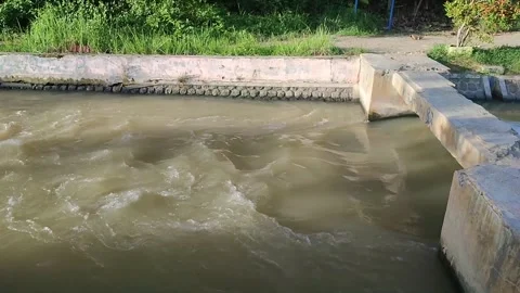 A river flow mixed with soil after rain Stock Footage 265244688