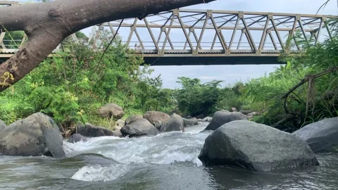 River flow in Mojokerto Regency Stock Footage 219638723