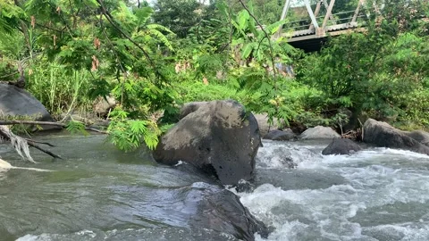 River flow in Mojokerto Regency Stock Footage 220777284