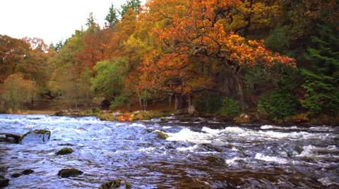River flow in the mountains of Snowdonia Video stock 56520482