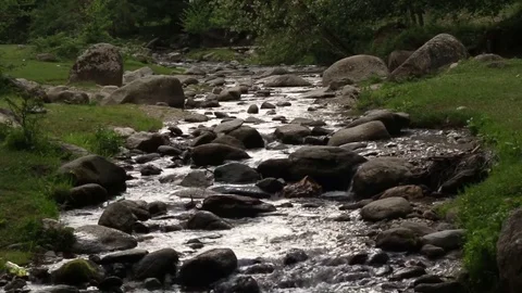 River Flow Nature Day Green Reflection Sky Water Forest Mountain Relax Video stock 75800683