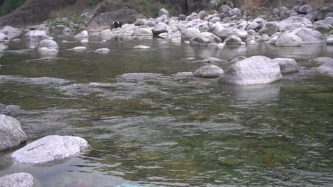 A river flow in nerrow cannel with large stone at himachal pradesh india Stock Footage 294020998