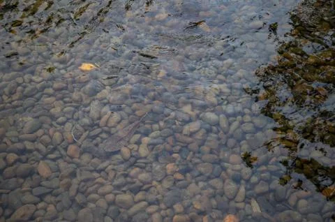 River flow over stone Stock Photos