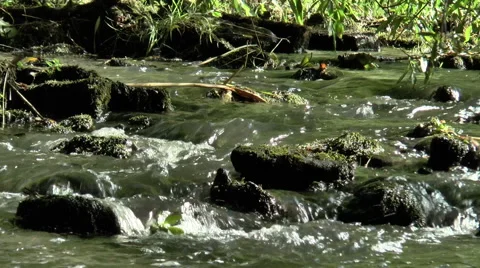 River flow over stones (1). Stock Footage 53411257