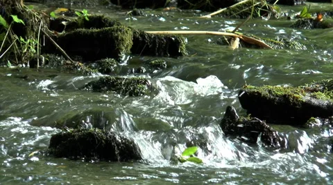 River flow over stones (2). Video stock 53411242