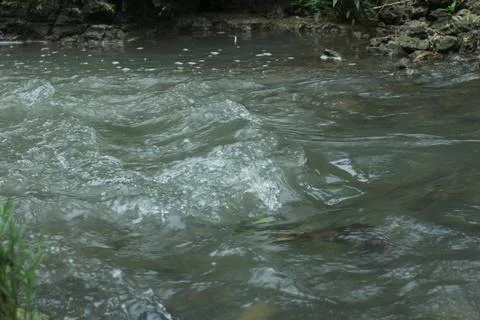 River flow Stock Photos