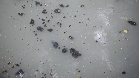 The river flow is polluted with various kinds of dirty materials Video stock 302326710