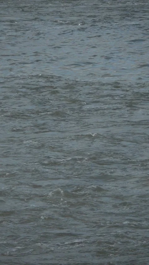 River Flow Rubber Dam Slow Motion (vertical) Stock Footage 308698889