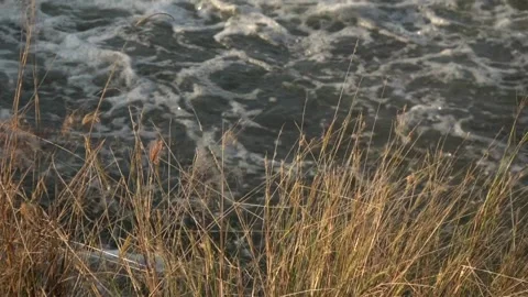 River Flow Rubber Dam Slow Motion Stock Footage 308715031