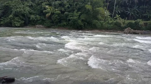 River flow in the rushing day Stock Footage 195973849
