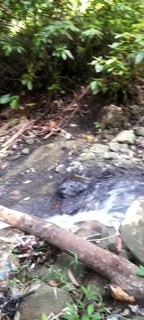 River flow slopes of Mount Dago Stock Footage 222002192
