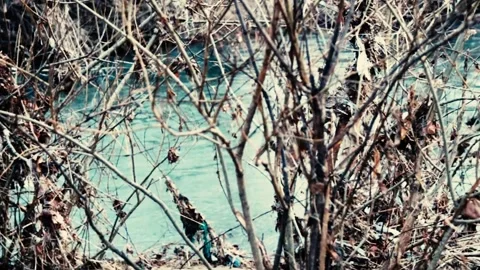 The river flow is slow Stock Footage 262810782