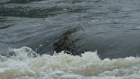 River flow in slow-motion 스톡 동영상 88342750